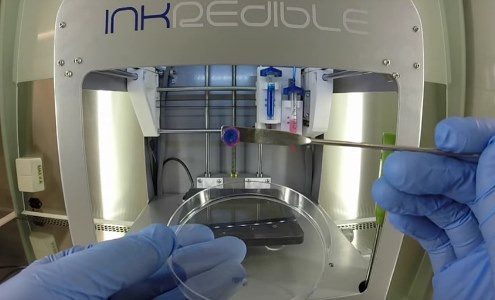 В Шведском исследовательском центре Валленберга создали «чернила» для трехмерной биопечати
